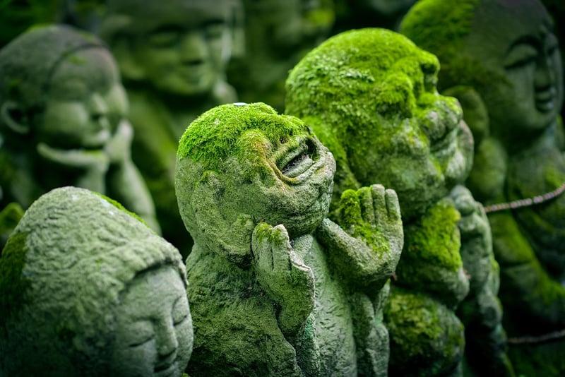 Zen Garden, Japan
